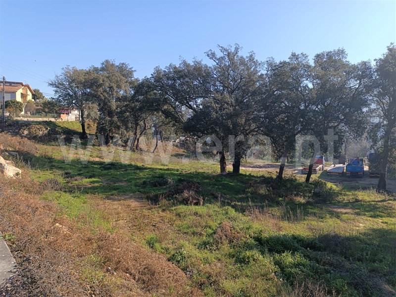 Terreno para Construção  Marco de Canaveses, Alpendorada, Várzea e Torrão - 1304555 - 5