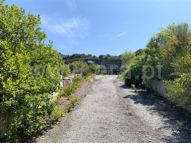 Terreno  Marco de Canaveses, Avessadas e Rosém - 1328758 - 7