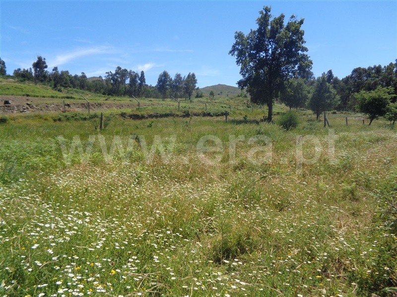 Terreno  Marco de Canaveses, Avessadas e Rosém - 920907 - 4