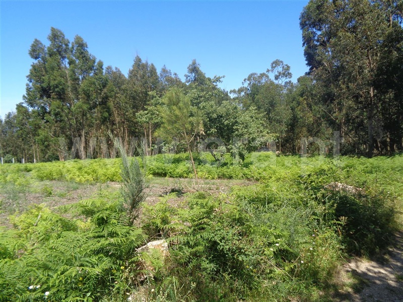 Terreno  Marco de Canaveses, Avessadas e Rosém - 920907 - 6