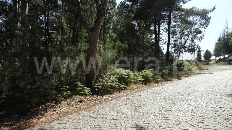 Terreno / Marco de Canaveses, Banho e Carvalhosa