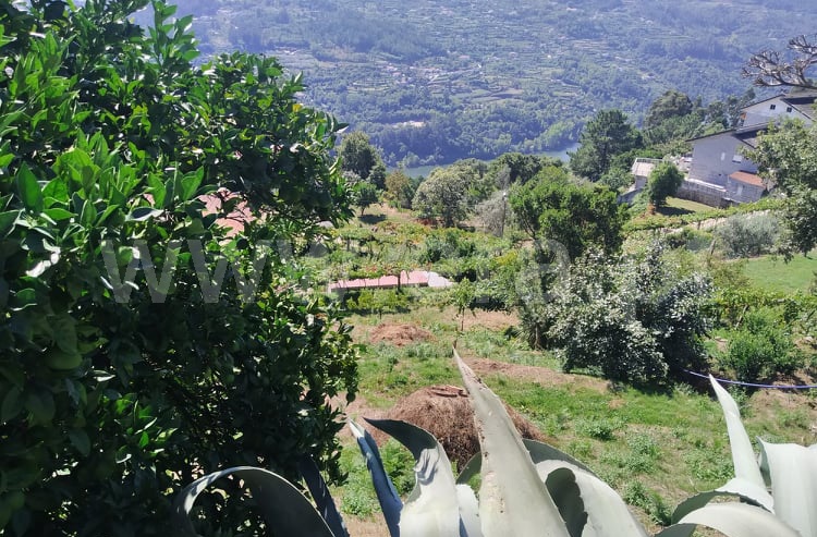 Terreno  Marco de Canaveses, Bem Viver - 1115994 - 7