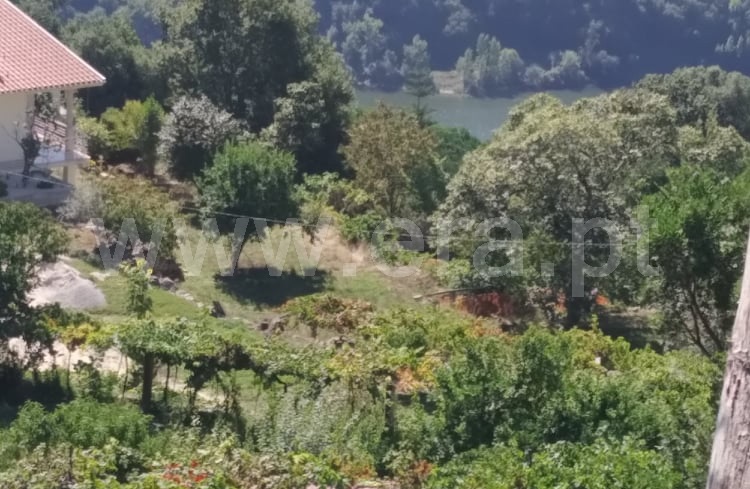 Terreno / Marco de Canaveses, Bem Viver