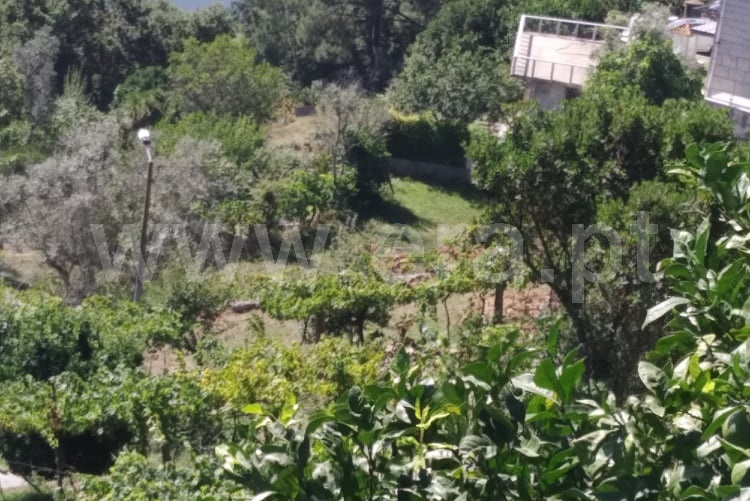 Terreno  Marco de Canaveses, Bem Viver - 1115994 - 9