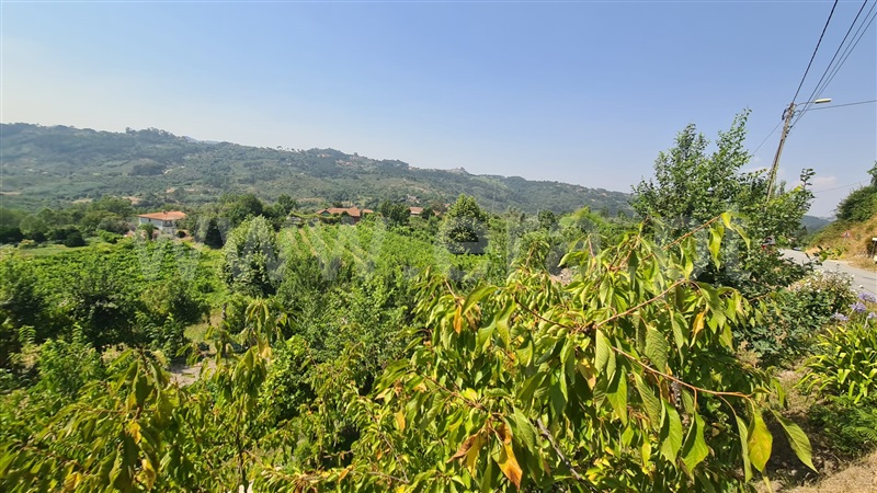 Terreno  Marco de Canaveses, Folhada - 1500717 - 5