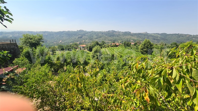 Terreno  Marco de Canaveses, Folhada - 1500717 - 6