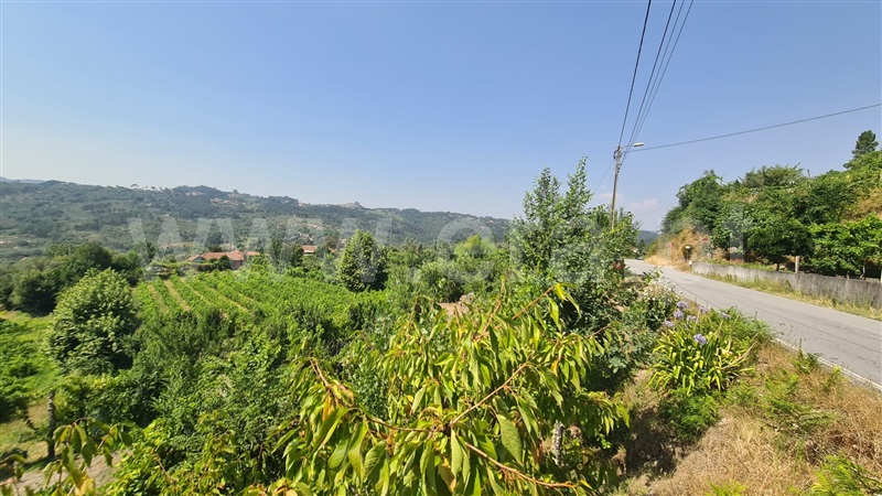 Terreno  Marco de Canaveses, Folhada - 1500717 - 7