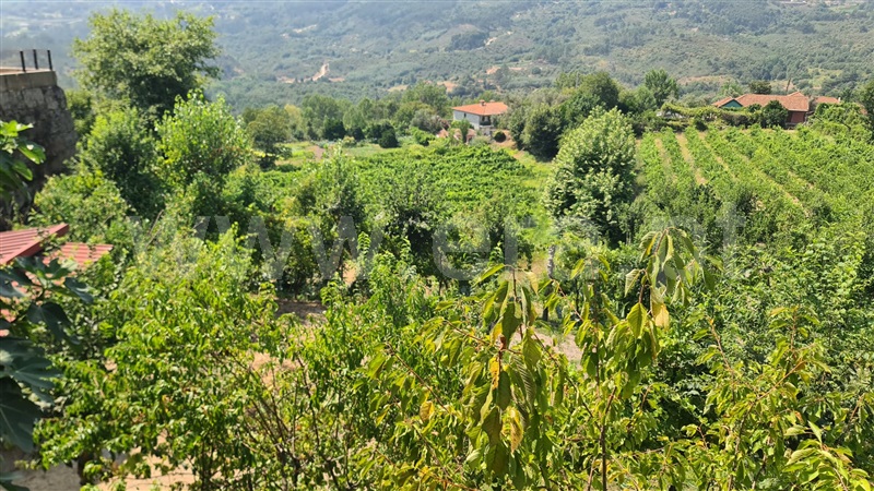 Terreno  Marco de Canaveses, Folhada - 1500717 - 8