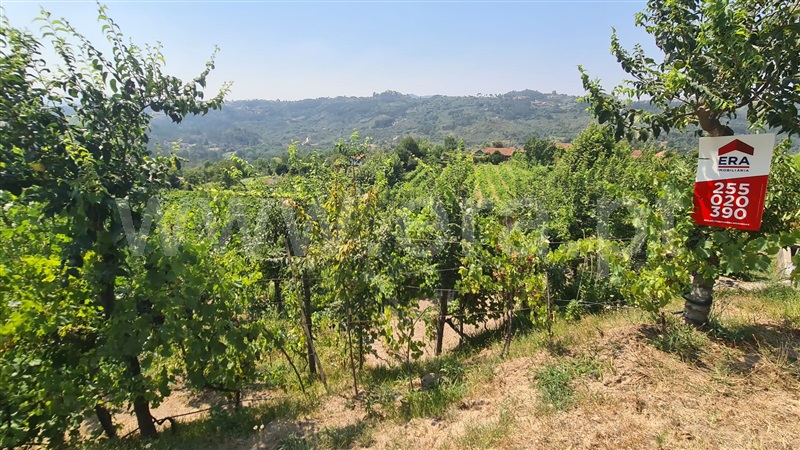 Terreno  Marco de Canaveses, Folhada - 1500717 - 12