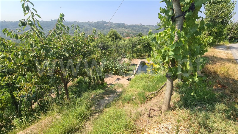 Terreno  Marco de Canaveses, Folhada - 1500717 - 13