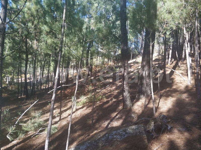 Terreno  Marco de Canaveses, Marco - 1013103 - 3