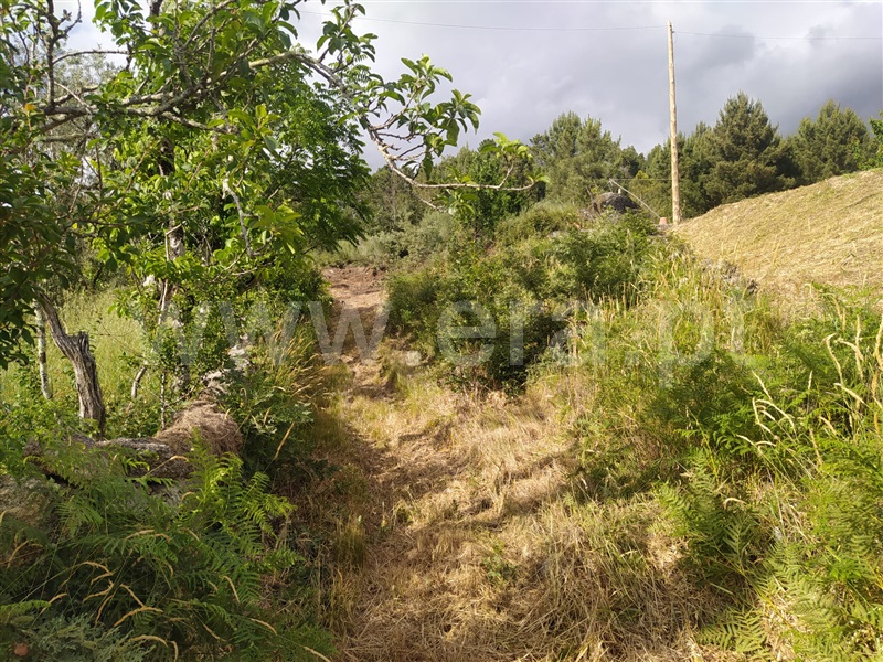 Terreno  Marco de Canaveses, Marco - 1251450 - 2