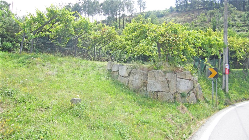 Terreno  Marco de Canaveses, Paredes de Viadores e Manhuncelos - 931523 - 3