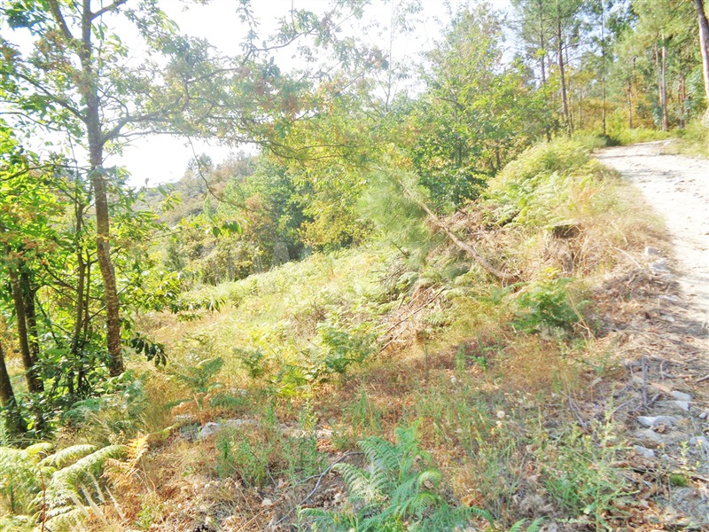 Terreno  Marco de Canaveses, Paredes de Viadores e Manhuncelos - 937513 - 1