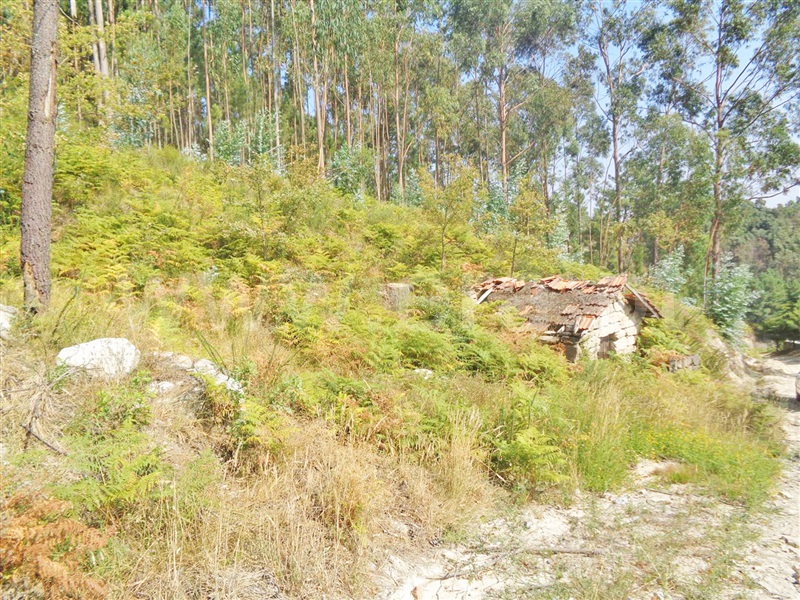 Terreno  Marco de Canaveses, Paredes de Viadores e Manhuncelos - 937513 - 3