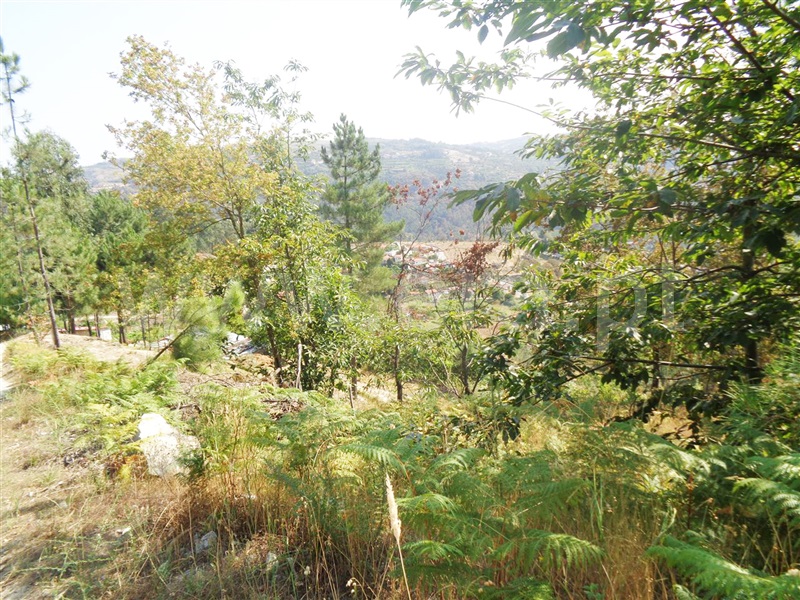 Terreno  Marco de Canaveses, Paredes de Viadores e Manhuncelos - 937513 - 4