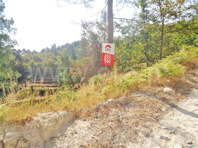 Terreno  Marco de Canaveses, Paredes de Viadores e Manhuncelos - 937513 - 5