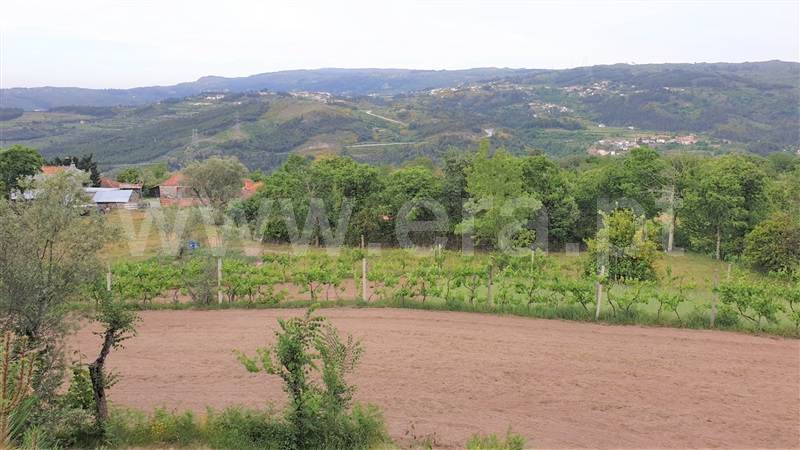 Terreno  Marco de Canaveses, Paredes de Viadores - 1250495 - 3