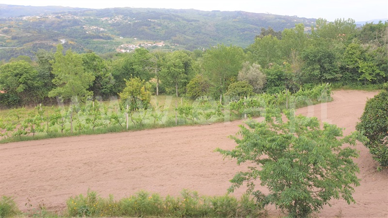 Terreno  Marco de Canaveses, Paredes de Viadores - 1250495 - 4