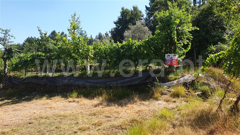Terreno  Marco de Canaveses, Paredes de Viadores - 1250495 - 15