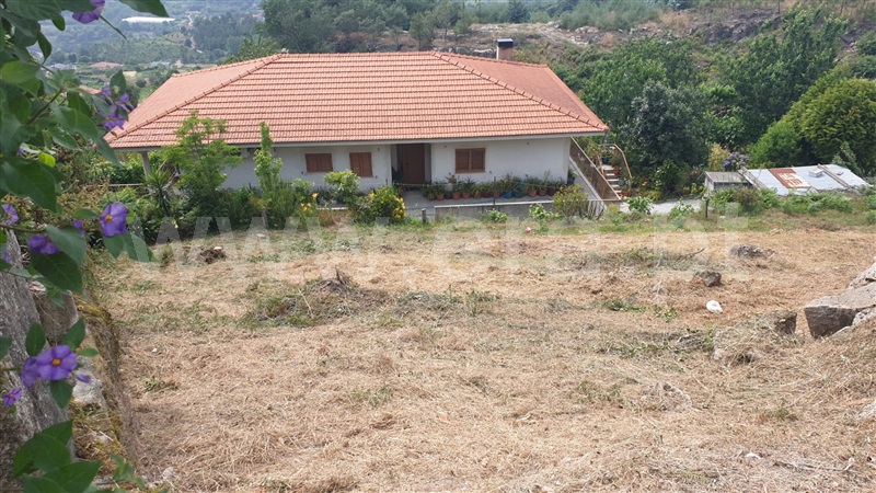 Terreno / Marco de Canaveses, Penhalonga e Paços de Gaiolo