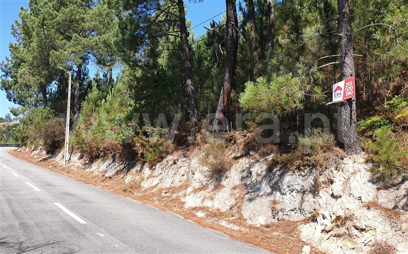 Terreno  Marco de Canaveses, Penhalonga e Paços de Gaiolo - 1270013 - 1