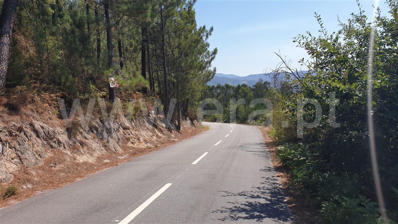 Terreno / Marco de Canaveses, Penhalonga e Paços de Gaiolo