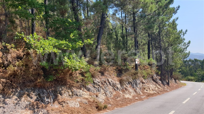 Terreno  Marco de Canaveses, Penhalonga e Paços de Gaiolo - 1270013 - 4