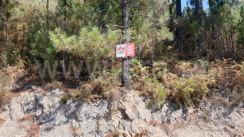 Terreno  Marco de Canaveses, Penhalonga e Paços de Gaiolo - 1270013 - 5