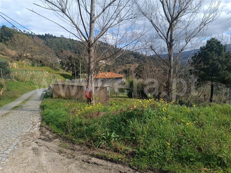 Terreno / Marco de Canaveses, Penhalonga e Paços de Gaiolo