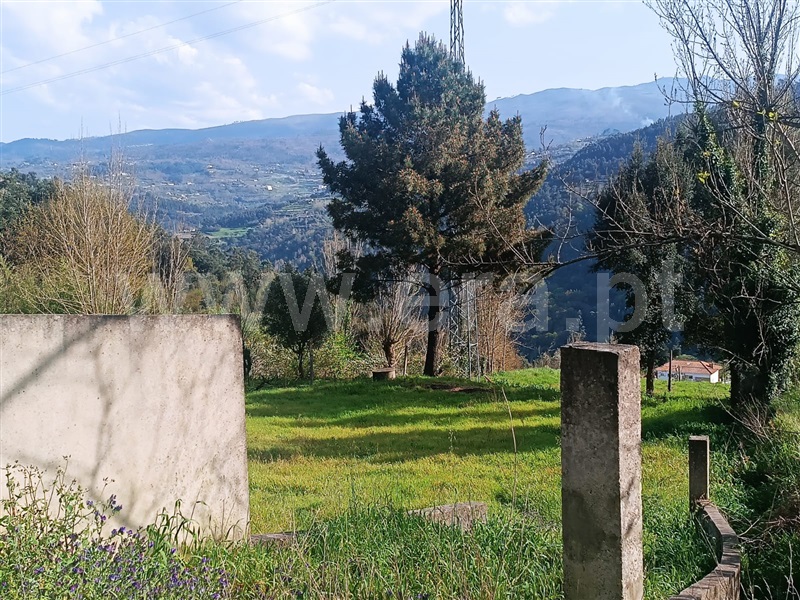 Terreno / Marco de Canaveses, Penhalonga e Paços de Gaiolo