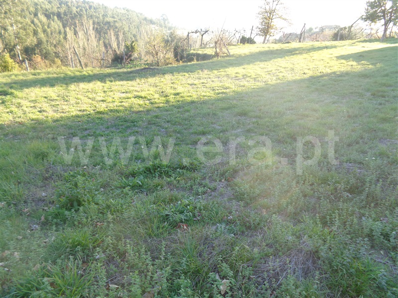 Terreno  Marco de Canaveses, Penhalonga e Paços de Gaiolo - 872700 - 2