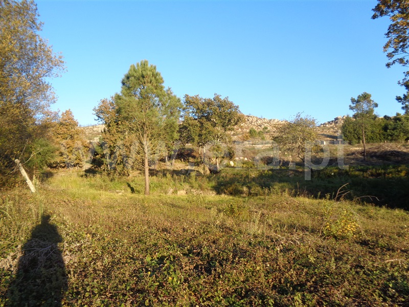Terreno  Marco de Canaveses, Penhalonga e Paços de Gaiolo - 872700 - 4