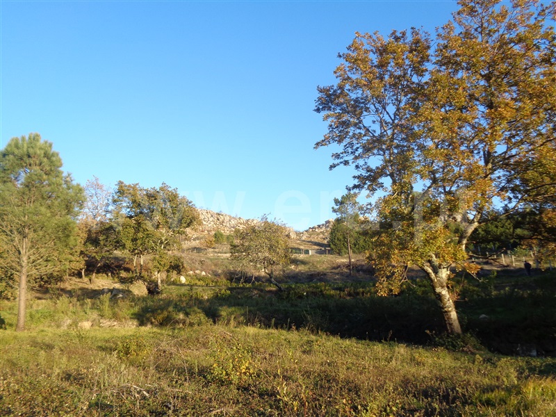 Terreno  Marco de Canaveses, Penhalonga e Paços de Gaiolo - 872700 - 1