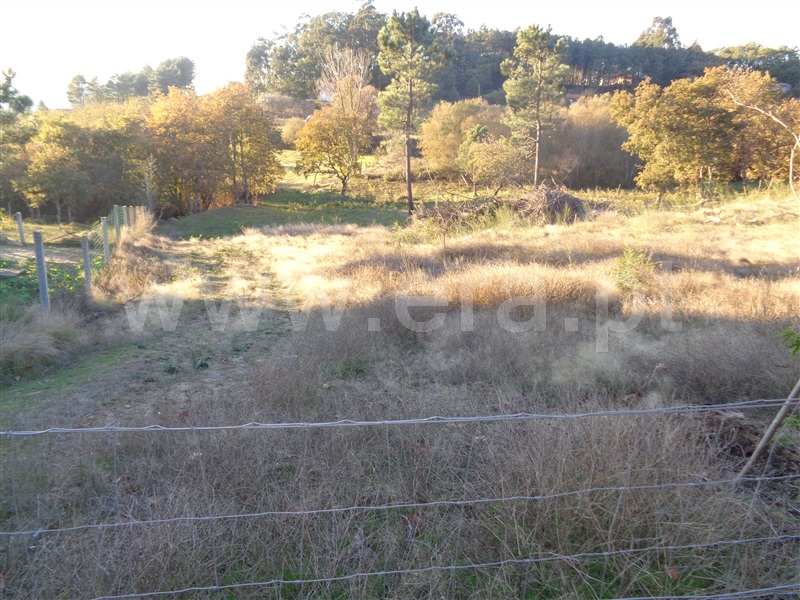 Terreno  Marco de Canaveses, Penhalonga e Paços de Gaiolo - 872700 - 5