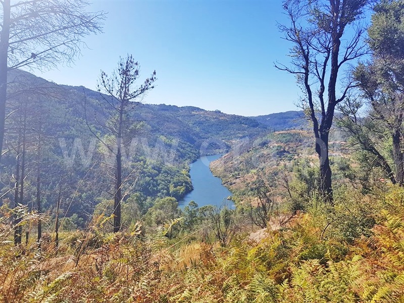 Terreno / Marco de Canaveses, Rio Douro