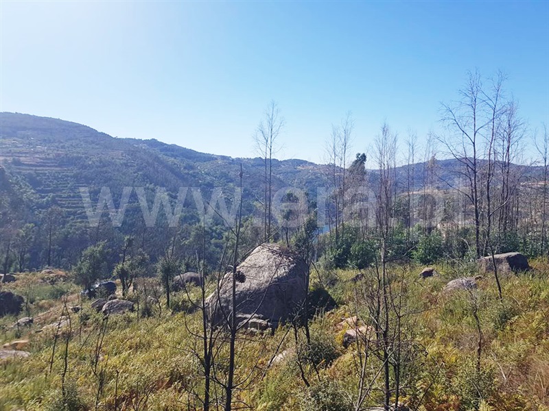 Terreno  Marco de Canaveses, Rio Douro - 947441 - 5