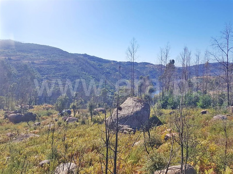 Terreno  Marco de Canaveses, Rio Douro - 947441 - 6