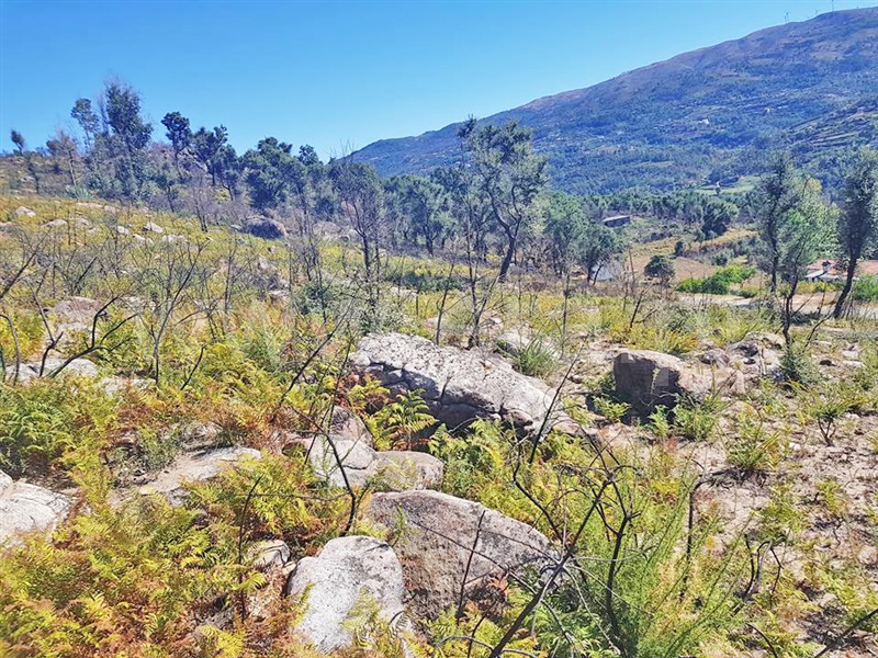 Terreno  Marco de Canaveses, Rio Douro - 947441 - 7