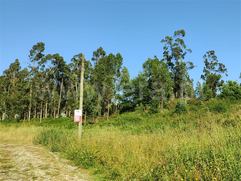 Terreno  Marco de Canaveses, Alpendorada, Várzea e Torrão - 1252751 - 3