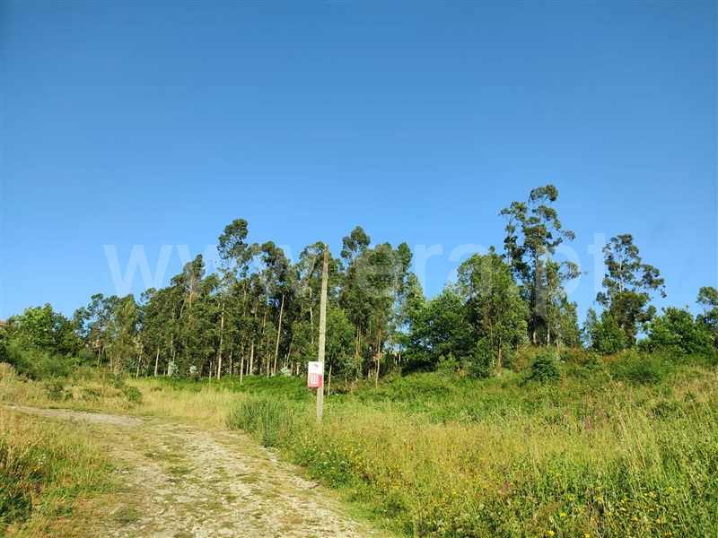 Terreno  Marco de Canaveses, Alpendorada, Várzea e Torrão - 1252751 - 4