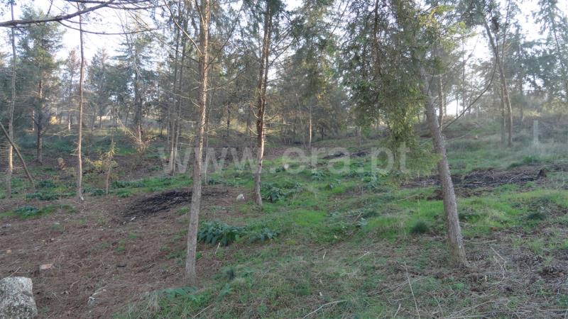 Terreno  Marco de Canaveses, Rio Tâmega - 780926 - 2