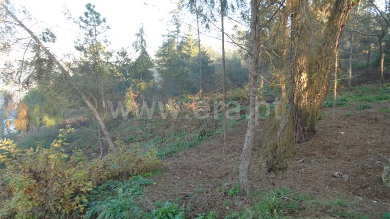 Terreno  Marco de Canaveses, Rio Tâmega - 780926 - 3