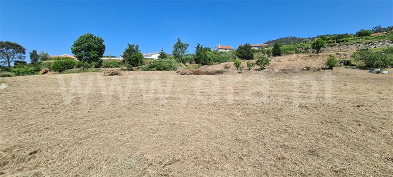 Terreno / Marco de Canaveses, Sande e São Lourenço