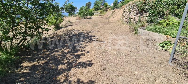 Terreno / Marco de Canaveses, Sande e São Lourenço