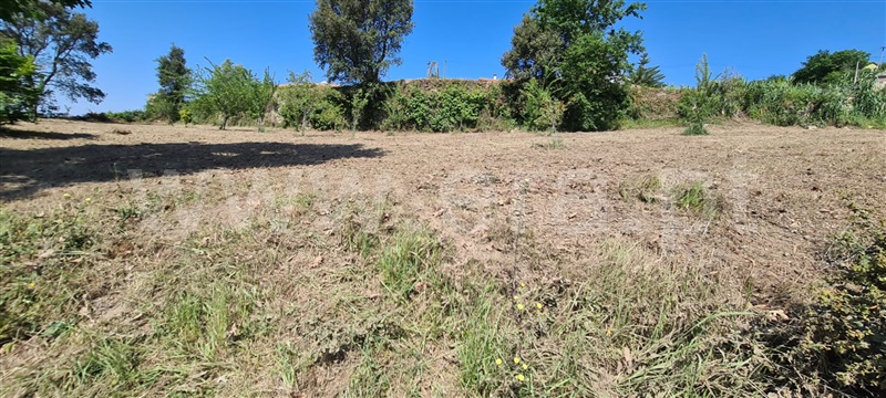 Terreno  Marco de Canaveses, Sande e São Lourenço - 1245687 - 7