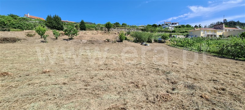 Terreno  Marco de Canaveses, Sande e São Lourenço - 1245687 - 8