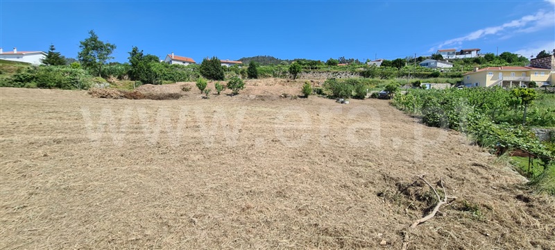 Terreno  Marco de Canaveses, Sande e São Lourenço - 1245687 - 9