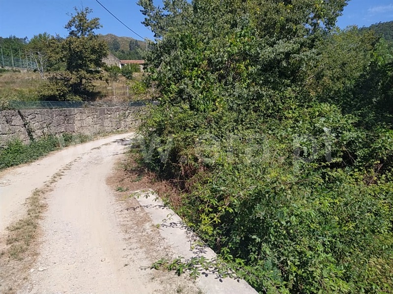 Terreno  Marco de Canaveses, Penhalonga e Paços de Gaiolo - 1270483 - 7