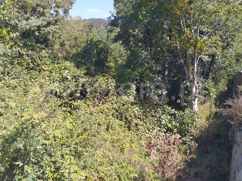 Terreno  Marco de Canaveses, Penhalonga e Paços de Gaiolo - 1270483 - 8